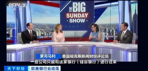 硅谷银行最新爆料新闻,揭秘巨额资金去向与潜在风险  第3张