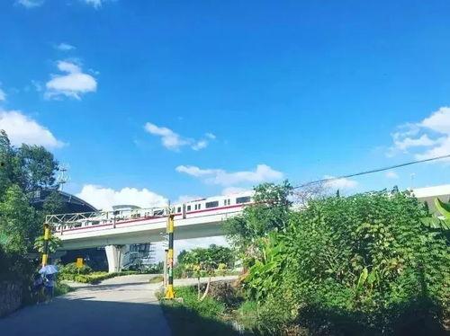 广州edy最新爆料,揭秘城市热点事件背后的真相  第1张